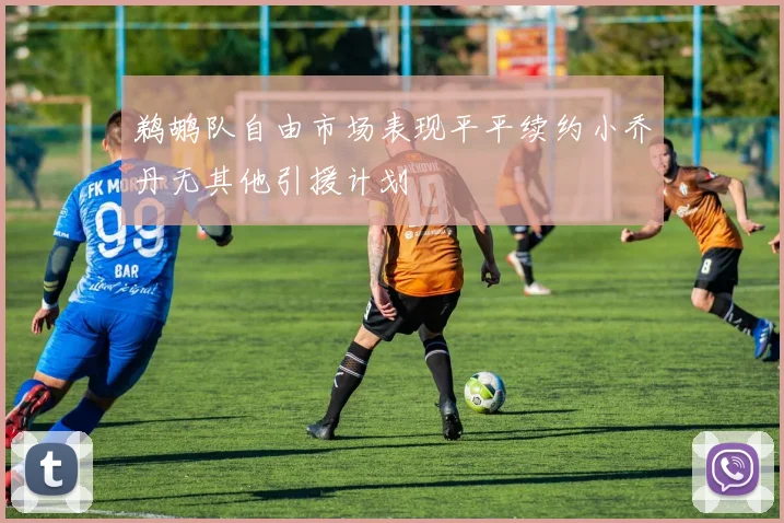 鹈鹕队自由市场表现平平续约小乔丹无其他引援计划