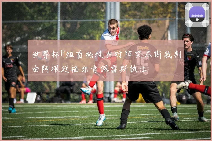 世界杯F组首轮瑞典对阵突尼斯裁判由阿根廷福尔肯佩雷斯执法